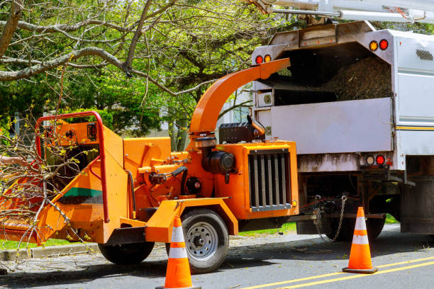 Best Commercial Tree Services  in Tangelo Park, FL